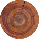 Spruce log